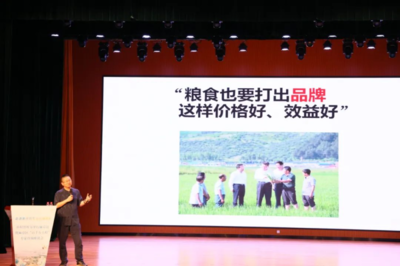 “乡村智库”、“专家智汇”共同加力麻章提速“百千万工程”落实落细